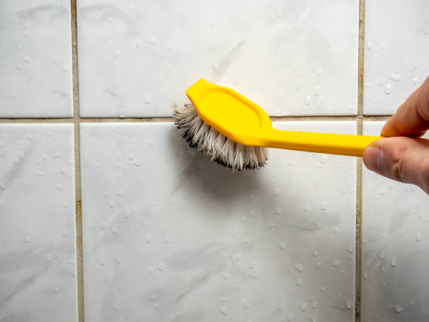 Best Best Mold Removal Companies  in Mila Doce, TX