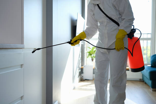 Mold Testing and Removal in Mila Doce, TX